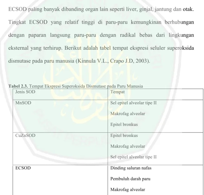 Tabel 2.3. Tempat Ekspresi Superoksida Dismutase pada Paru Manusia 