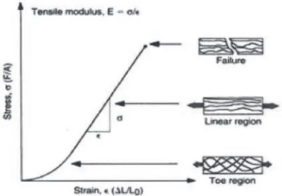 Gambar 1.6 Diagram tegangan-regangan untuk kartilago sendi selama  pemberian beban tarik