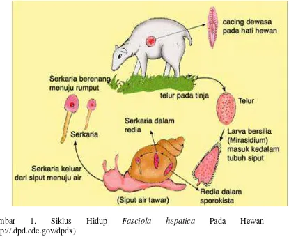 Gambar 1. 