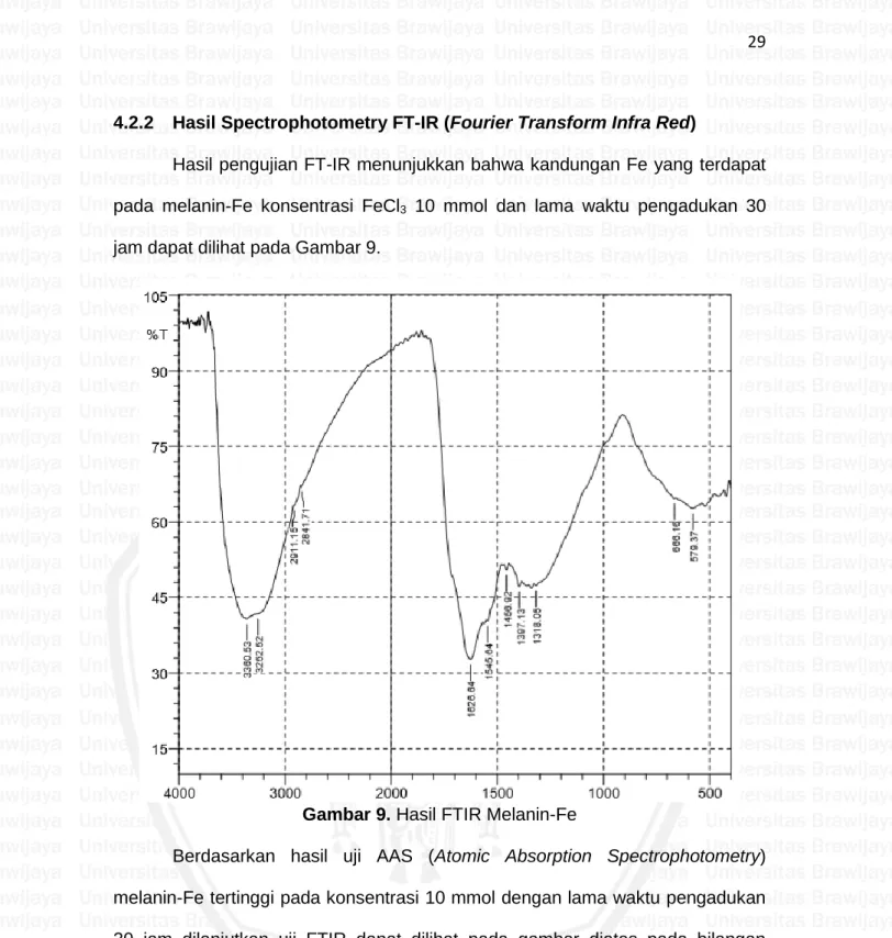 Gambar 9. Hasil FTIR Melanin-Fe 