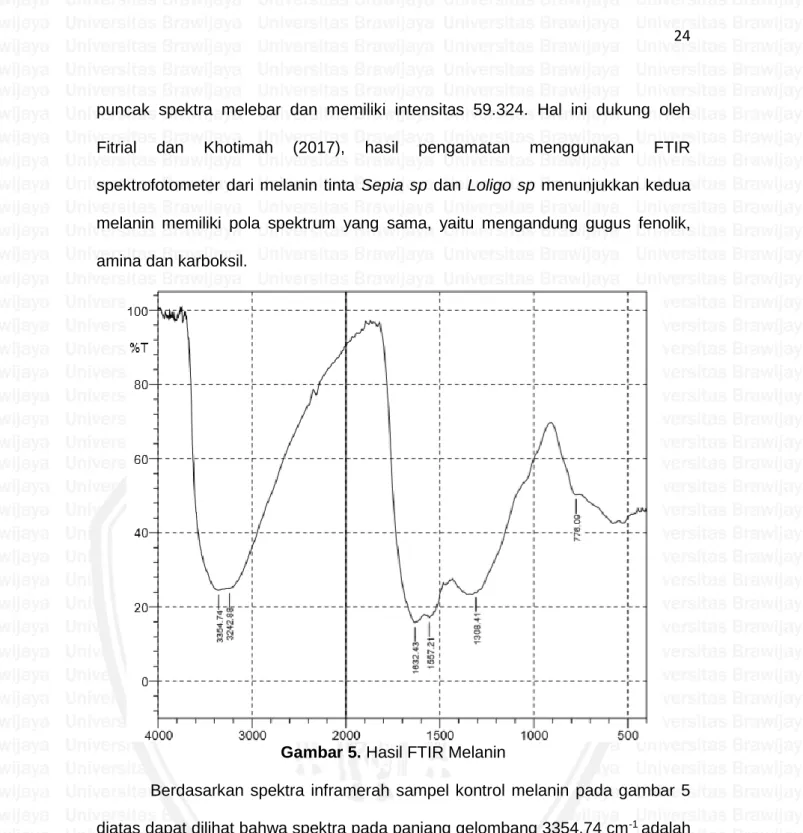 Gambar 5. Hasil FTIR Melanin 
