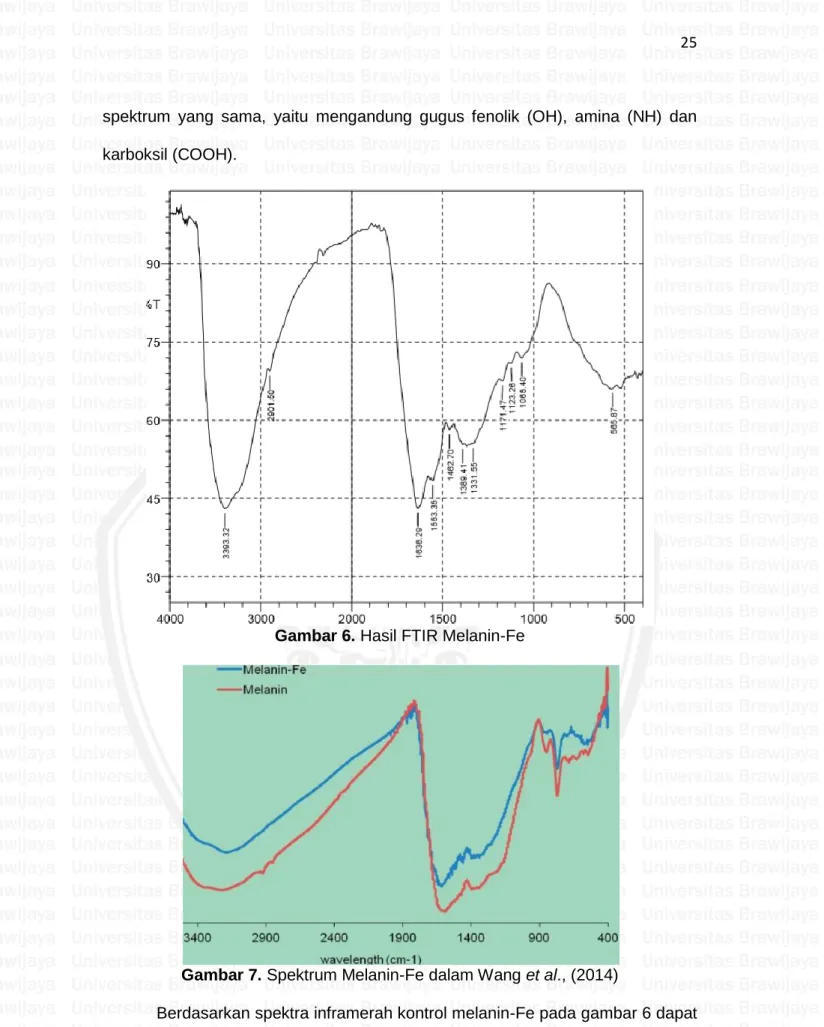 Gambar 6. Hasil FTIR Melanin-Fe 