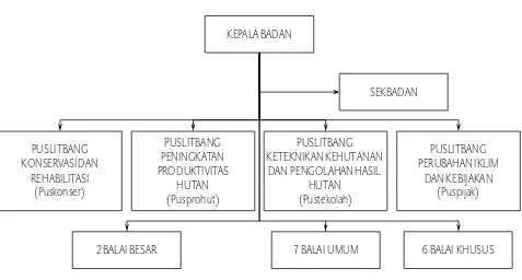 Gambar 3. Bagan Struktur Organisasi Badan Penelitian dan Pengembangan Kehutanan
