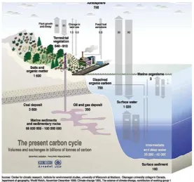 Figure 4  Carbon cycle on land, atmosphere and sea.