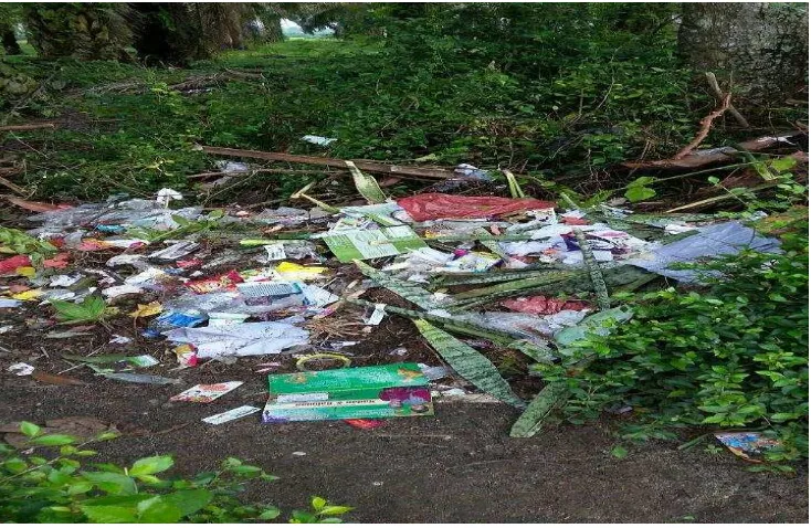 Gambar 17. Tempat Akhir Pembuangan Sampah di SDN 0105878 