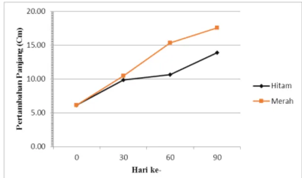 Gambar 4. Grafik rata-rata pertambahan bobot  ikan nila (Oreochromis sp) 