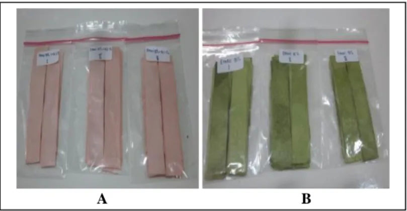 Gambar 3. Hasil perendaman kertas dengan etanol 95% (A) dan etanol 95% +HCl 1% (B) 