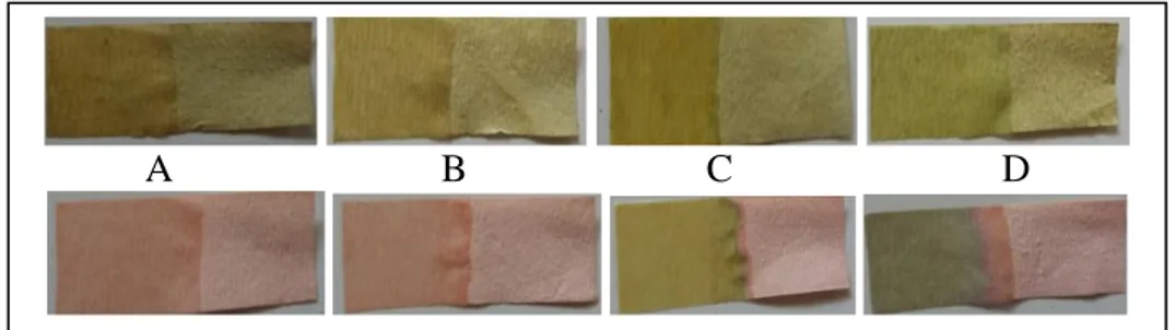 Gambar  4.6. Perbandingan hasil  uji  hari  ke-15  kertas  indikator  asam  basa  dari  ekstrak  daun  Rhoeo  discolor  dengan  pelarut  etanol  95%  dan  pelarut  etanol  95%  +  HCl  1%  pada  pengujian  (a)  asam  kuat  (HCl), (b) asam lemah (CH 3 COOH)