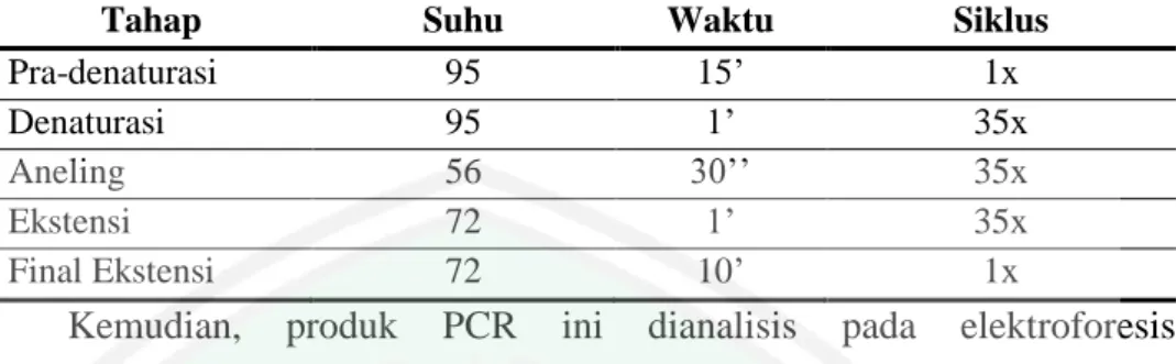 Tabel 3.3 Prosedur PCR 