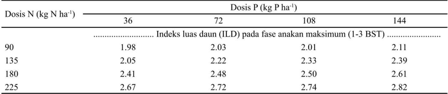 Tabel 2.  Indeks luas daun (ILD) tanaman tebu pada tingkat pemupukan N dan P pada fase anakan maksimum