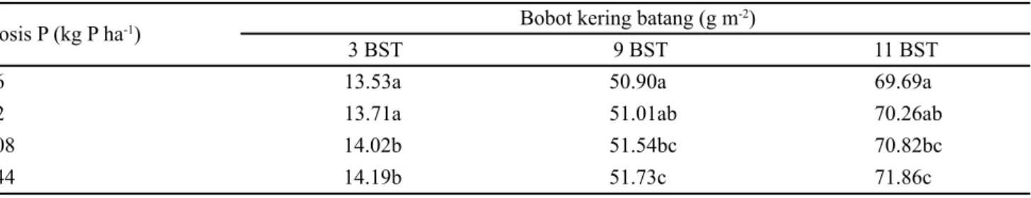 Tabel 7.  Bobot kering batang tebu (g m -2 ) pada tingkat pemupukan P  saat fase anakan maksimum (3 BST), fase batang  maksimum  (9 BST) dan fase panen (11 BST)