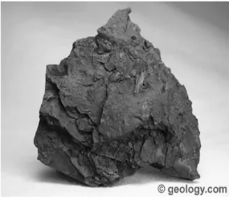 Gambar 1. Batu bara jenis Lignite 