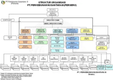 Gambar 4.1 Struktur Organisasi PTP Nusantara III (Persero) Medan 