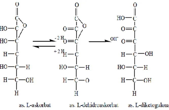 Gambar 2. Oksidasi asam askorbat 