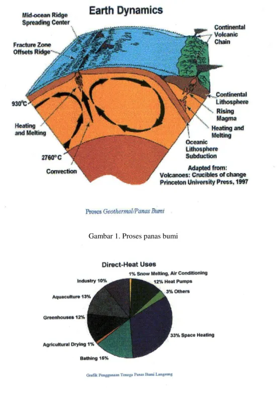 Gambar 2. Grafik penggunaan tenaga panas bumi langsung. 
