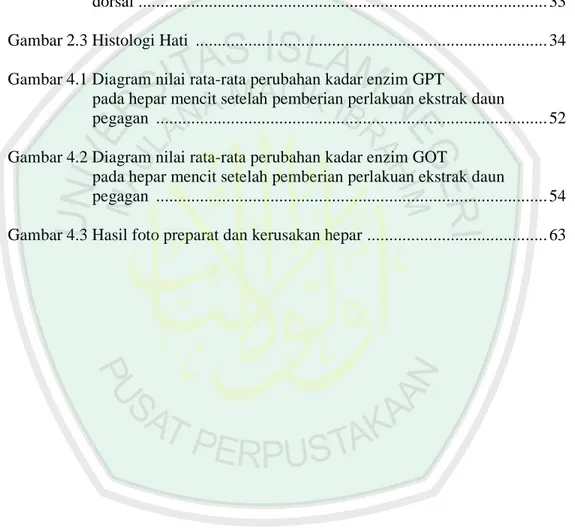 Gambar 2.2 Hati, hepar, porta hati, porta hepatis; pita pengikat yang  