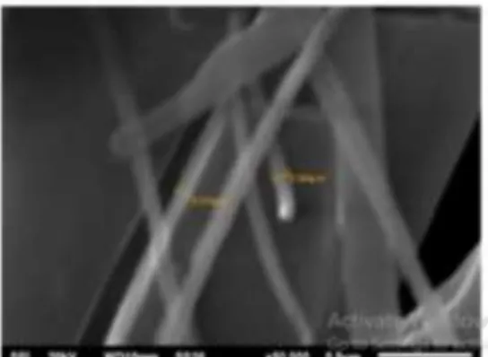 Gambar 2. Morfologi nano selulosa kulit bawang  merah 