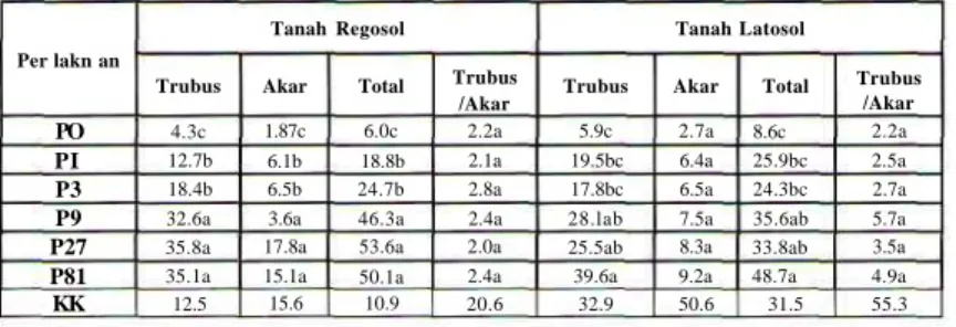 Tabel 3. Pengaruh pemberian pupuk P terhadap tinggi tanaman jagung pada tanah Latosol