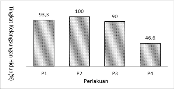 Gambar 1. Tingkat kelangsungan hidup ikan mas setelah perlakuan 