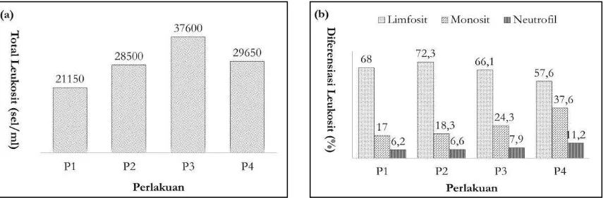 Gambar 2. Hasil pengamatan leukosit darah ikan mas (a) total leukosit (sel/ml) (b) diferensiasi leukosit (%)  