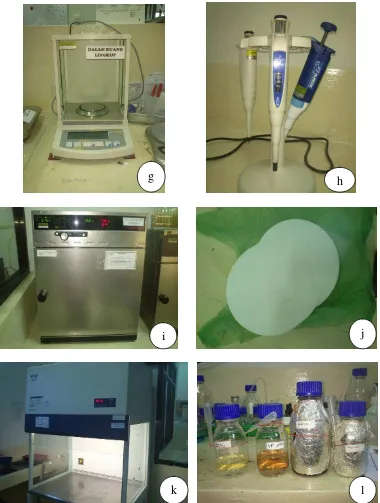 Gambar 2. a) Bunsen, b) Larutan DMSO, c) Water bath, d) H2SO4 dan BaCl2, e) Hot plate, f) Spray, g) Timbangan, h) Pipet mikro, i) Inkubator, j) Kertas saring, k) Laminar air flow, l) Reagen Vp A, Vp B, Reagen MR dan Reagen Indol