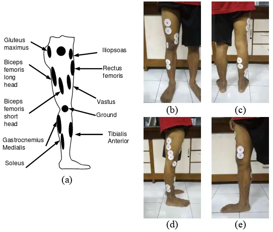 Gambar 3. 2 Posisi penempatan elektroda : (a) ilustrasi penempatan elektroda, (b) penempatan elektroda pada kaki – tampak depan, (c) penempatan elektroda pada kaki – tampak belakang, (d) penempatan elektroda pada kaki – tampak luar (e) penempatan elektroda pada kaki – tampak dalam 