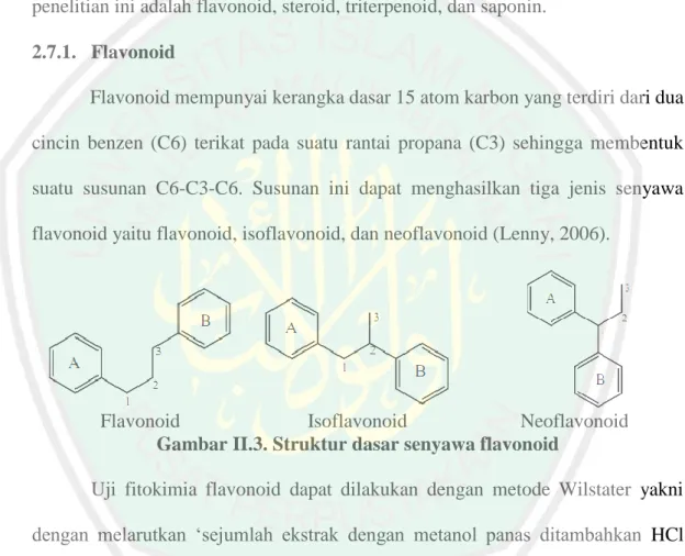 Gambar II.3. Struktur dasar senyawa flavonoid 