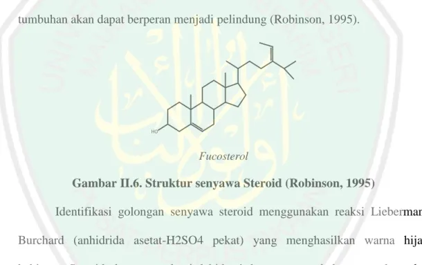 Gambar II.6. Struktur senyawa Steroid (Robinson, 1995) 