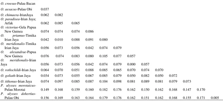 Tabel 2.  Data Jarak Genetik Ornithoptera spp. Berdasarkan gen ND5 mitokondria dianalisis  dengan  metode Kimura 2 parameter 