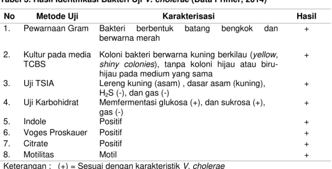 Tabel 3. Hasil Identifikasi Bakteri Uji V. cholerae (Data Primer, 2014) 