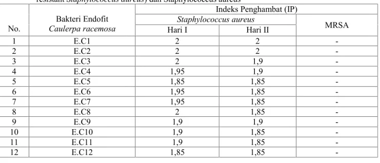 Tabel  3.  Pengamatan  uji  daya  hambat  bakteri  endofit Caulerpa  racemosa terhadap  MRSA  (Methicillin resistant Staphylococcus aureus) dan Staphylococcus aureus