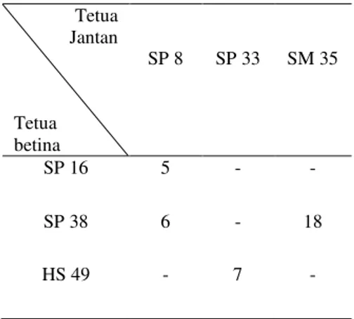Tabel 1. Kombinasi persilangan dialel             Tetua  Jantan  Tetua   betina  SP 8  SP 33  SM 35  SP 16  5  -  -  SP 38  6  -  18  HS 49  -  7  - 
