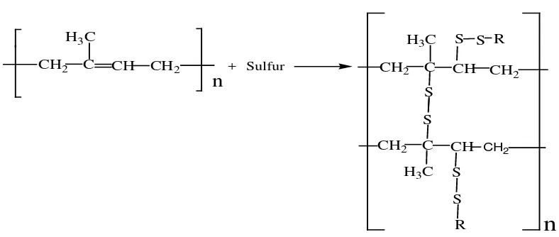 Gambar 2.2 Reaksi Vulkanisasi Karet Alam ( Sperling, 1986) 