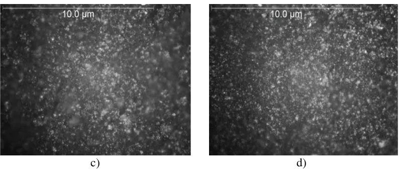 Gambar 4.3. Hasil Mikroskop Optik pada Lembaran Katoda LiFePO4 