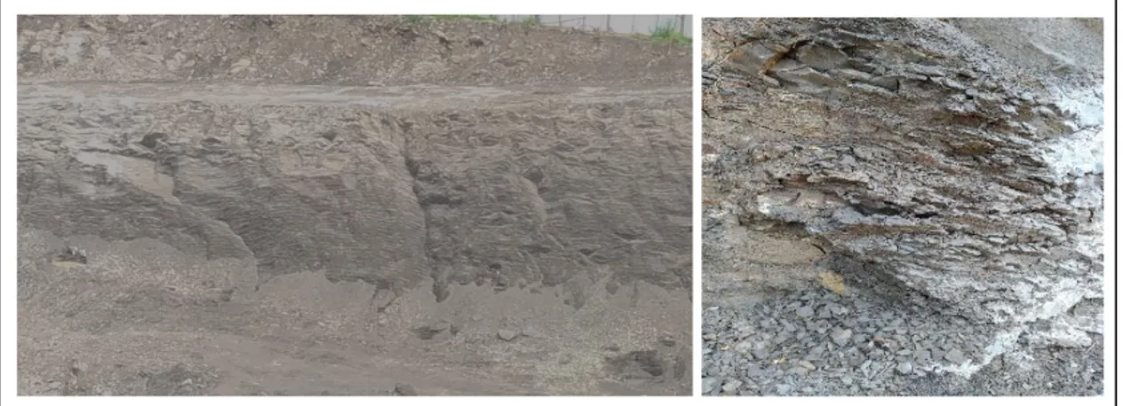 Gambar 2. Kondisi clay shale di Sentul City yang telah tersingkap 