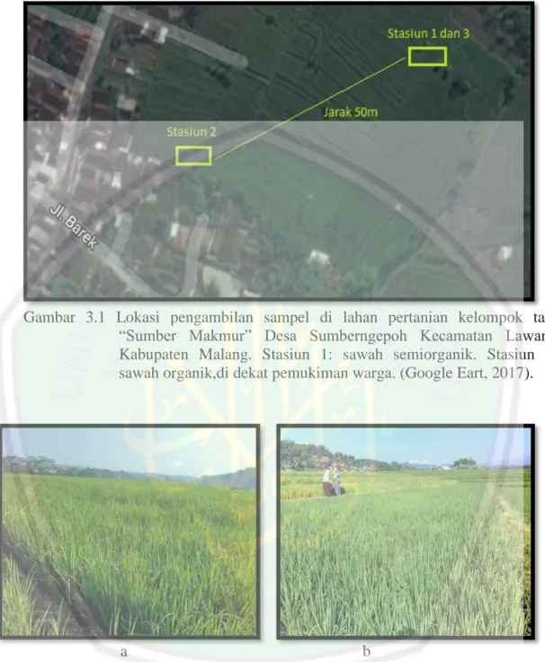 Gambar  3.1  Lokasi  pengambilan  sampel  di  lahan  pertanian  kelompok  tani 