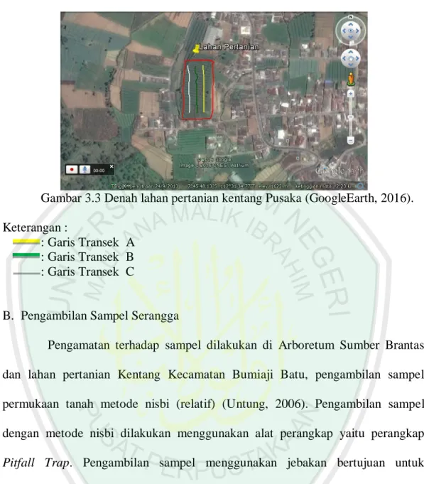 Gambar 3.3 Denah lahan pertanian kentang Pusaka (GoogleEarth, 2016). 