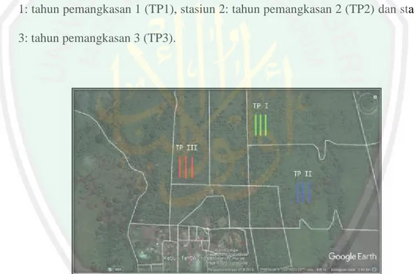 Gambar 3.1. Lokasi Penelitian Kebun Teh PTPN XII Wonosari Malang