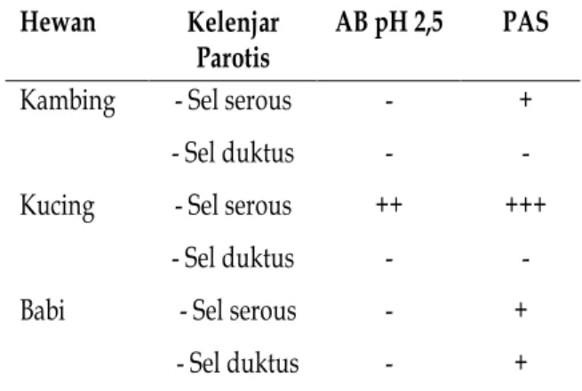 Tabel 1.  Intensitas rata-rata kelenjar parotis  kambing,  kucing  dan  babi  terhadap  pewarnaan  AB  pH  2,5  dan PAS   