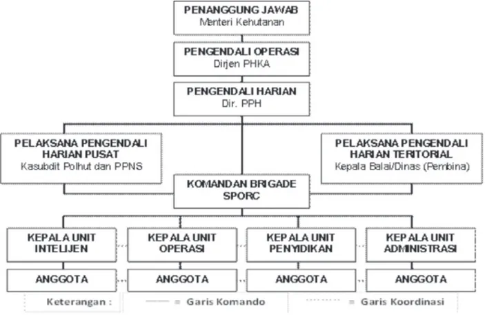 Gambar  5.    Struktur  organisasi  SPORC  pada  awal  pembentukan