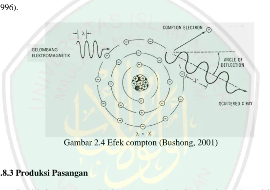 Gambar 2.4 Efek compton (Bushong, 2001) 