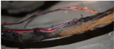 Gambar 2.2 Kabel listrik yang mengalami kerusakan (sumber: http;//www.news.tridinamika.com/) 