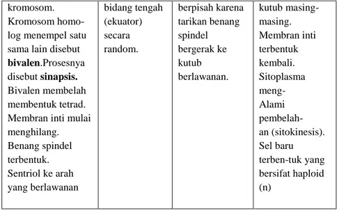 Tabel 2.2. Tahapan Pembelahan Meiosis II 