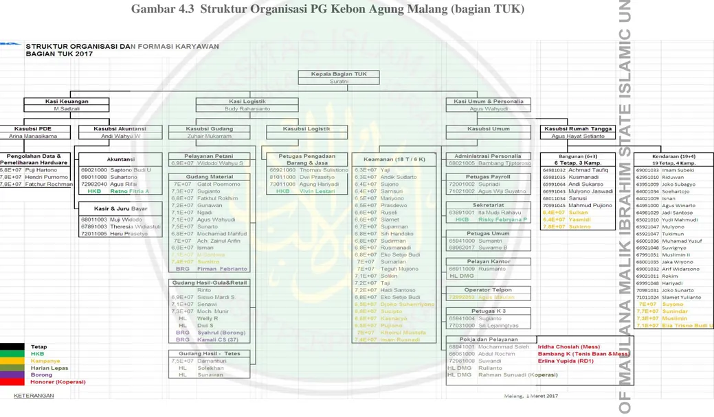 Gambar 4.3  Struktur Organisasi PG Kebon Agung Malang (bagian TUK) 