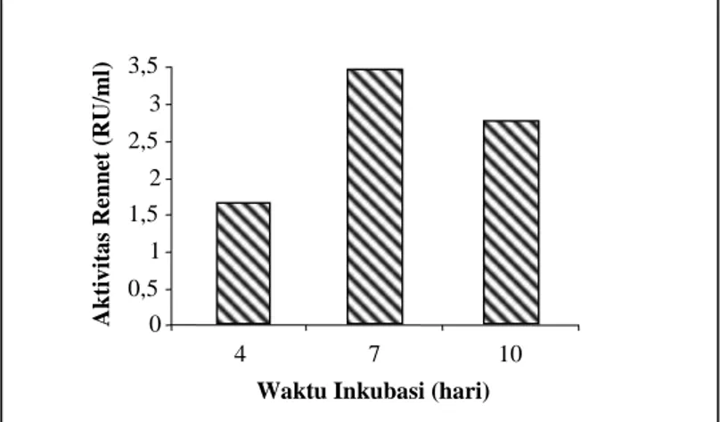 Gambar 1. Pengaruh waktu inkubasi terhadap produksi rennet Mucor pusillus .