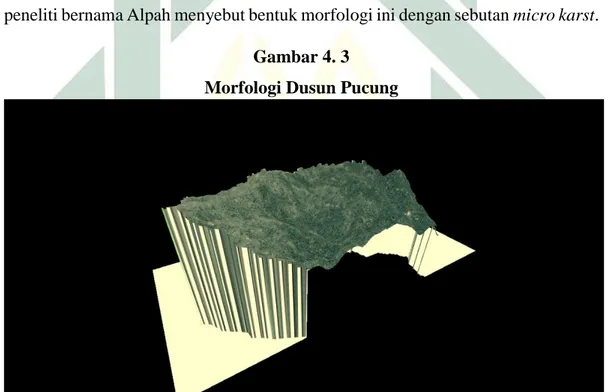 Gambar 4. 3  Morfologi Dusun Pucung 