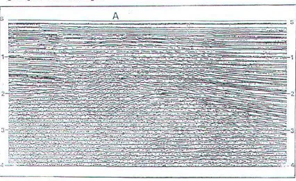 Gambar 2.15 Sebunh stack CMP berisi pet1emuan ketniringan sepanjw1g pntnhan besar (Yilmaz, 1991) 
