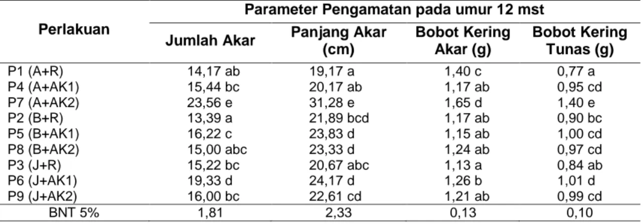 Tabel 2  Rerata  Jumlah  Akar,  Panjang  Akar,  Bobot  Kering  Akar  dan  Bobot  Kering  Tunas  per  Tanaman Bibit 3 Varietas Anggur Akibat Pemberian Jenis Zat Pengatur Tumbuh  pada  umur 12 mst 