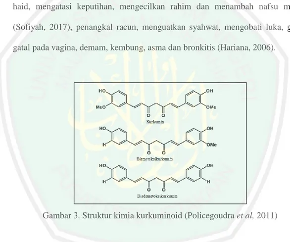 Gambar 3. Struktur kimia kurkuminoid (Policegoudra et al, 2011) 