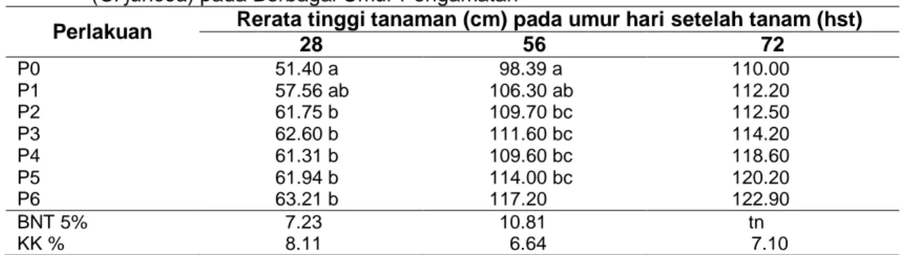 Tabel  1  Rerata  Tinggi  Tanaman  Akibat  Perlakuan  Pupuk  Kandang  Kambing  dan  Pupuk  Hijau  (C